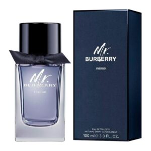 Perfume de hombre Burberry Mr Burberry Indigo 100 ml agua de tocador-1